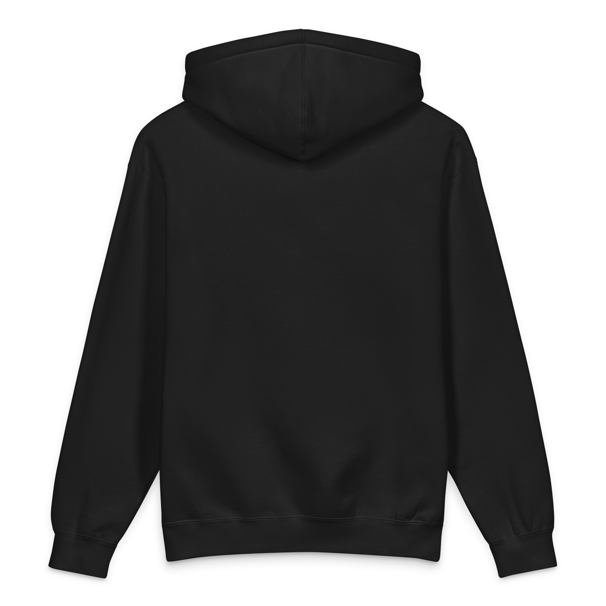PRVT Embroidered Heavyweight Unisex Hoodie
